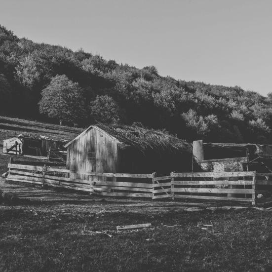 Ødebeliggende forfalden gård i sort hvid